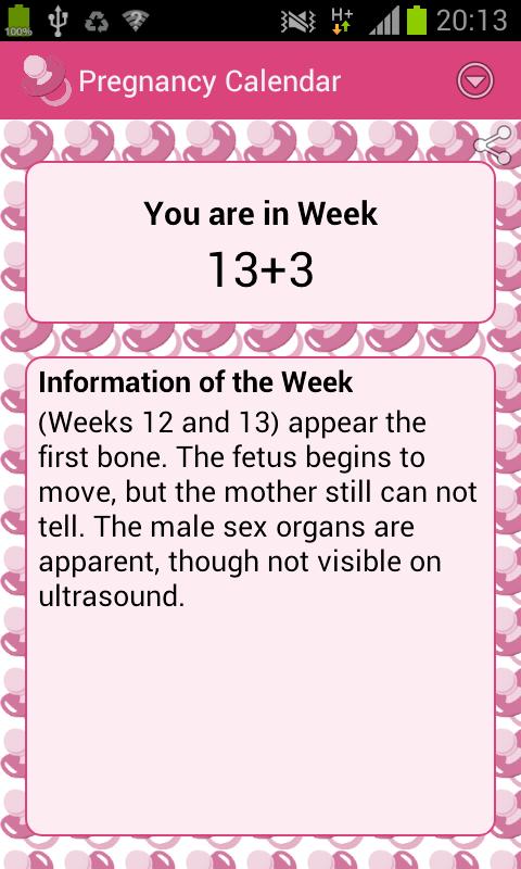 Pregnancy Calendar Free