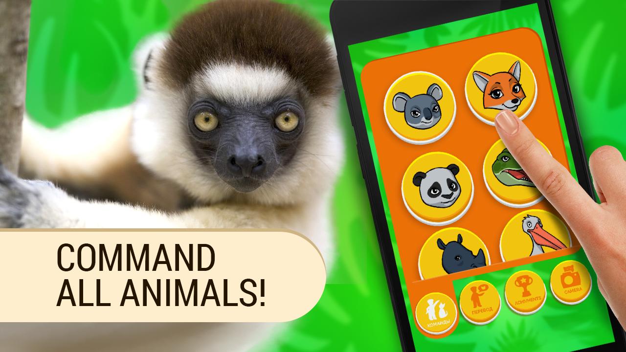 Translate Animals. Simulator