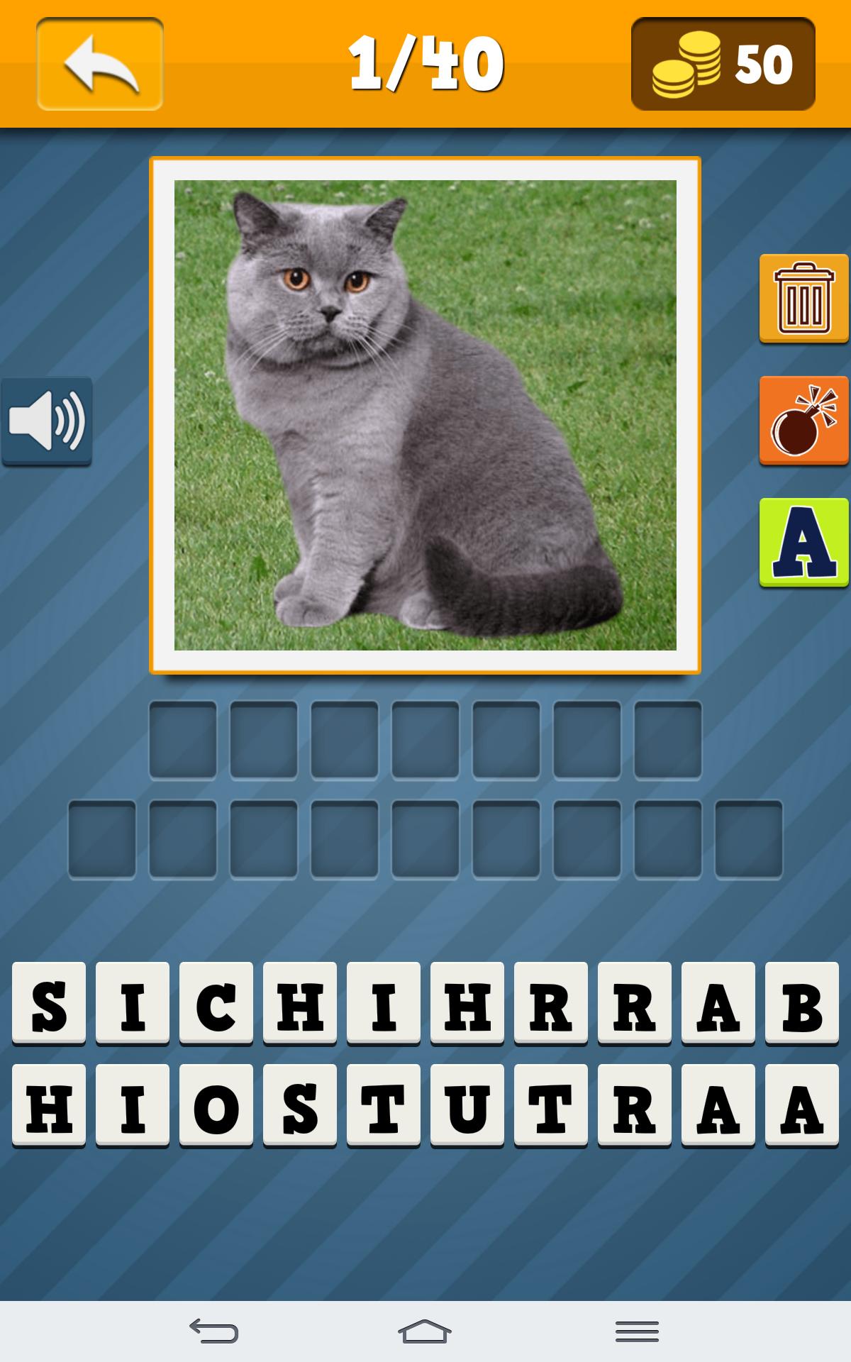Cats Quiz