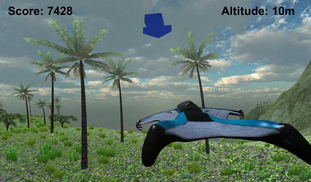 Cardboard Wingsuit Simulator