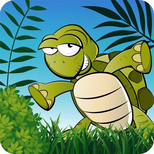 Turtle Trails